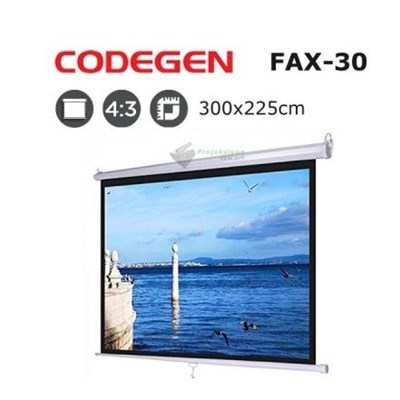 CODEGEN FAX-30 300X225 PROJEKSİYON PERDESİ STORLU