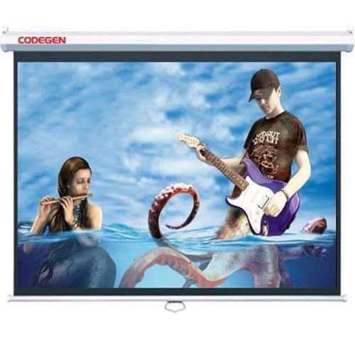 CODEGEN COD-AX20 200X200 PROJEKSİYON PERDESİ STORLU